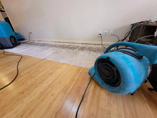 Professional Ceiling Water Damage Repair technician working in Whitefield, NH
